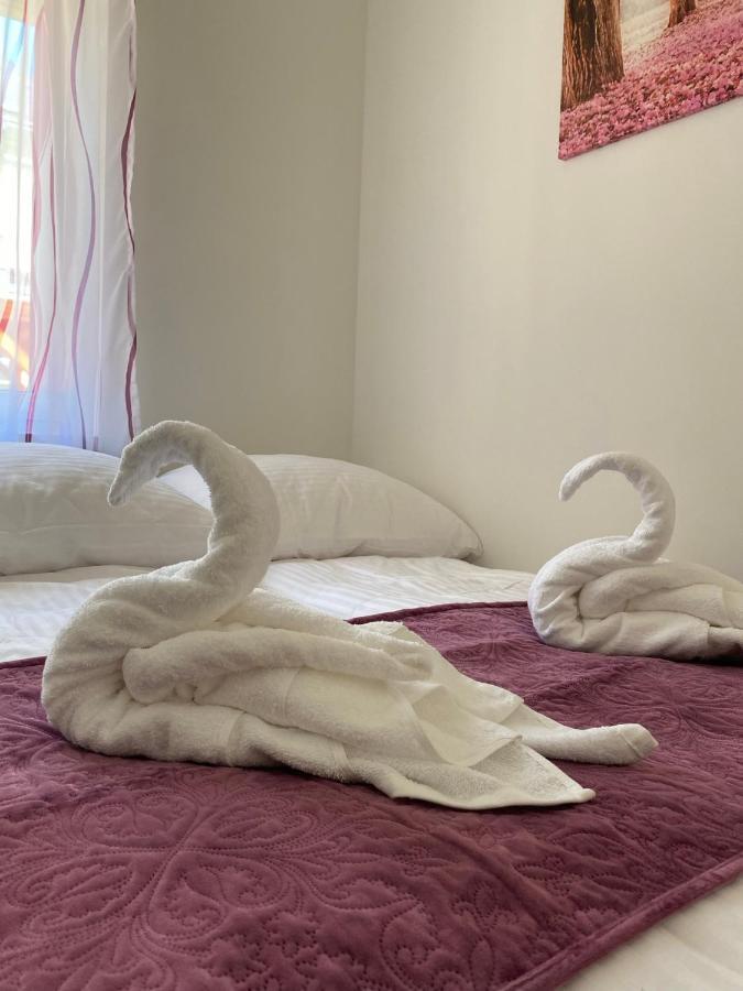 Karinthy Haz Guest House ชิโอฟก ภายนอก รูปภาพ